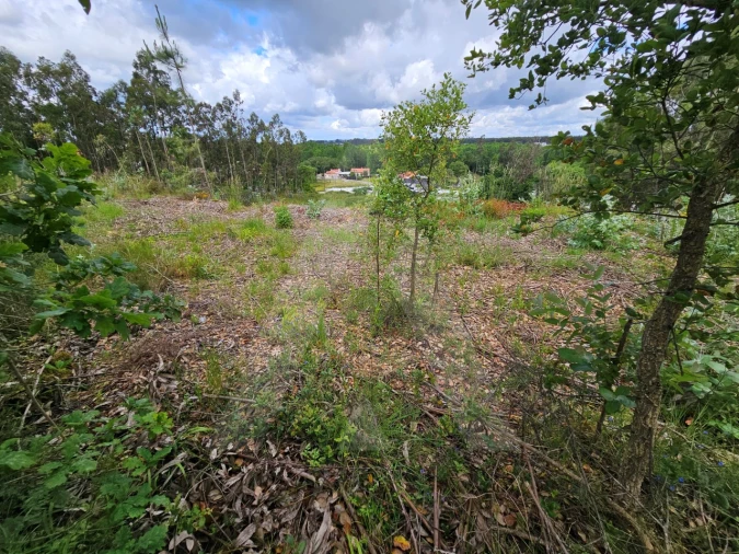 Terreno para Venda em Barrô e Aguada de Baixo Foto 13
