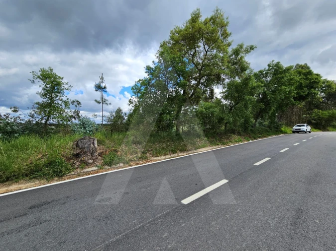 Terreno para Venda em Barrô e Aguada de Baixo Foto 14