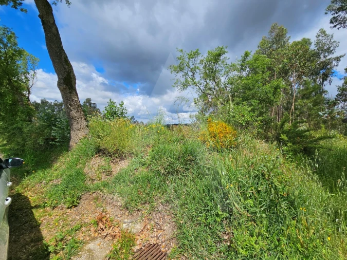 Terreno para Venda em Barrô e Aguada de Baixo Foto 16