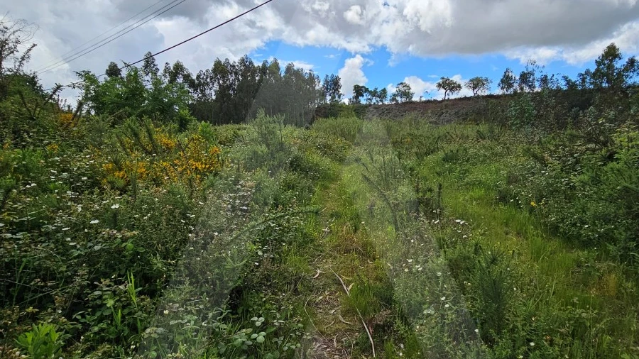 Terreno para Venda em Barrô e Aguada de Baixo