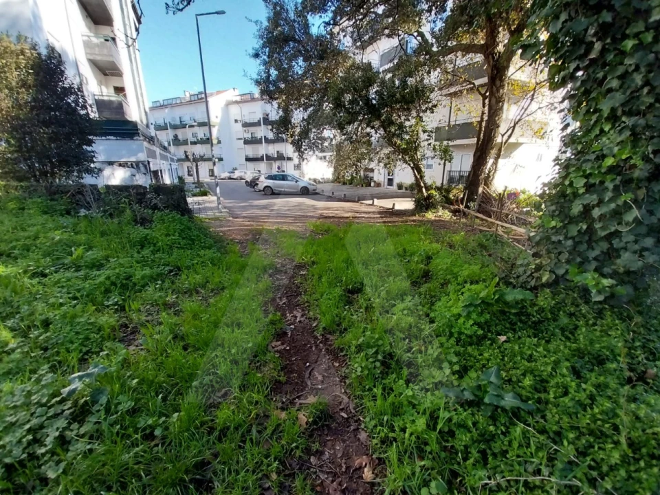 Terreno para Venda em Albergaria-A-Velha e Valmaior Foto 4