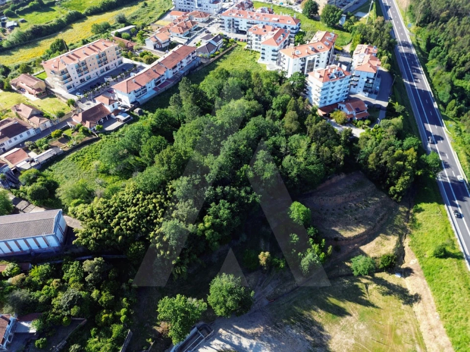 Terreno para Venda em Albergaria-A-Velha e Valmaior Foto 16