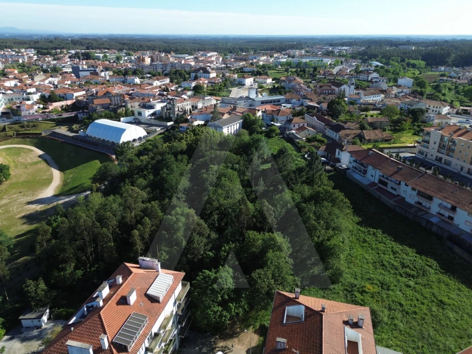 Terreno para Venda em Albergaria-A-Velha e Valmaior Foto 24