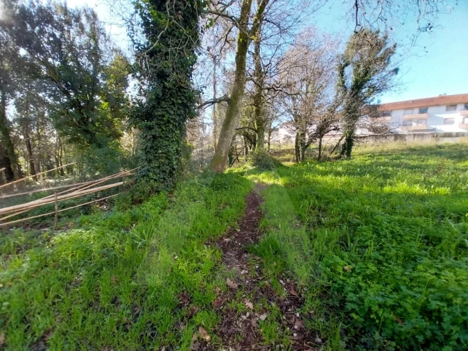 Terreno para Venda em Albergaria-A-Velha e Valmaior Foto 8