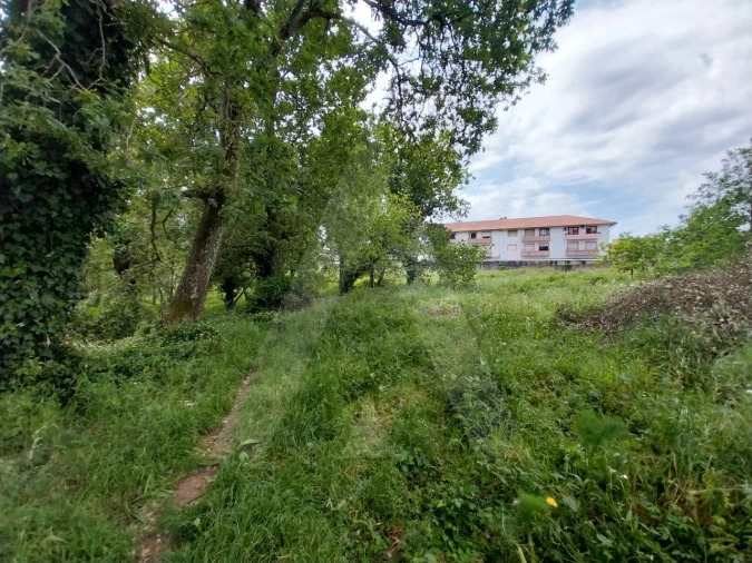 Terreno para Venda em Albergaria-A-Velha e Valmaior Foto 9