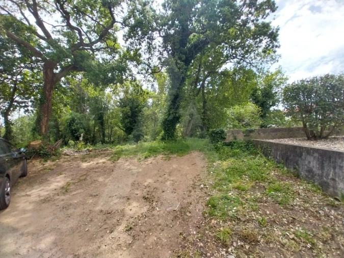 Terreno para Venda em Albergaria-A-Velha e Valmaior Foto 14