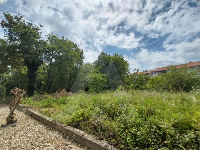 Terreno para Venda em Albergaria-A-Velha e Valmaior Foto 15