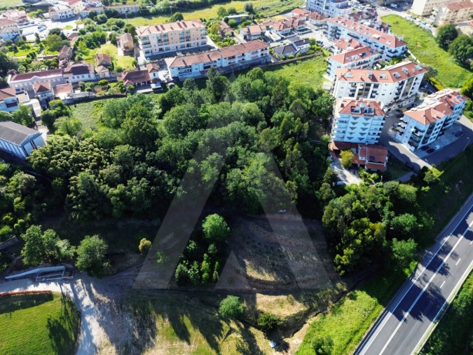 Terreno para Venda em Albergaria-A-Velha e Valmaior Foto 17
