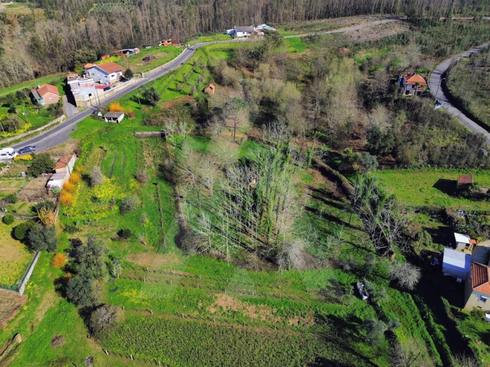 Terreno para Venda em Macinhata do Vouga Foto 2