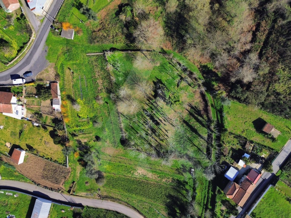 Terreno para Venda em Macinhata do Vouga Foto 3