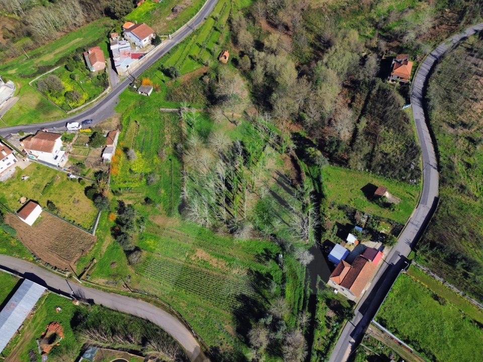Terreno para Venda em Macinhata do Vouga Foto 5