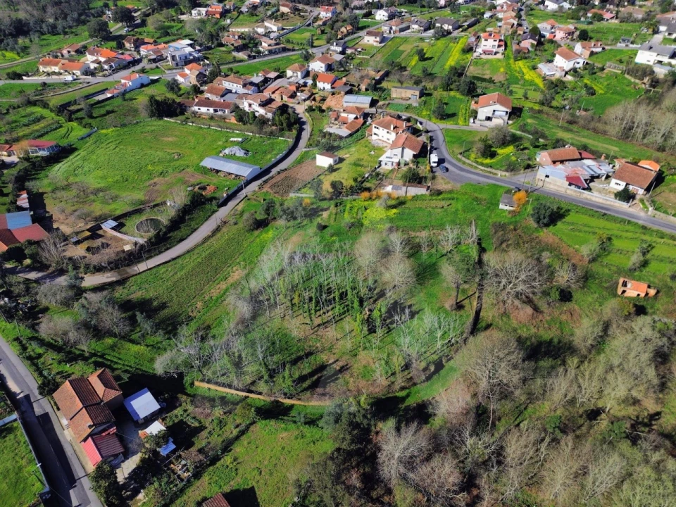 Terreno para Venda em Macinhata do Vouga Foto 10