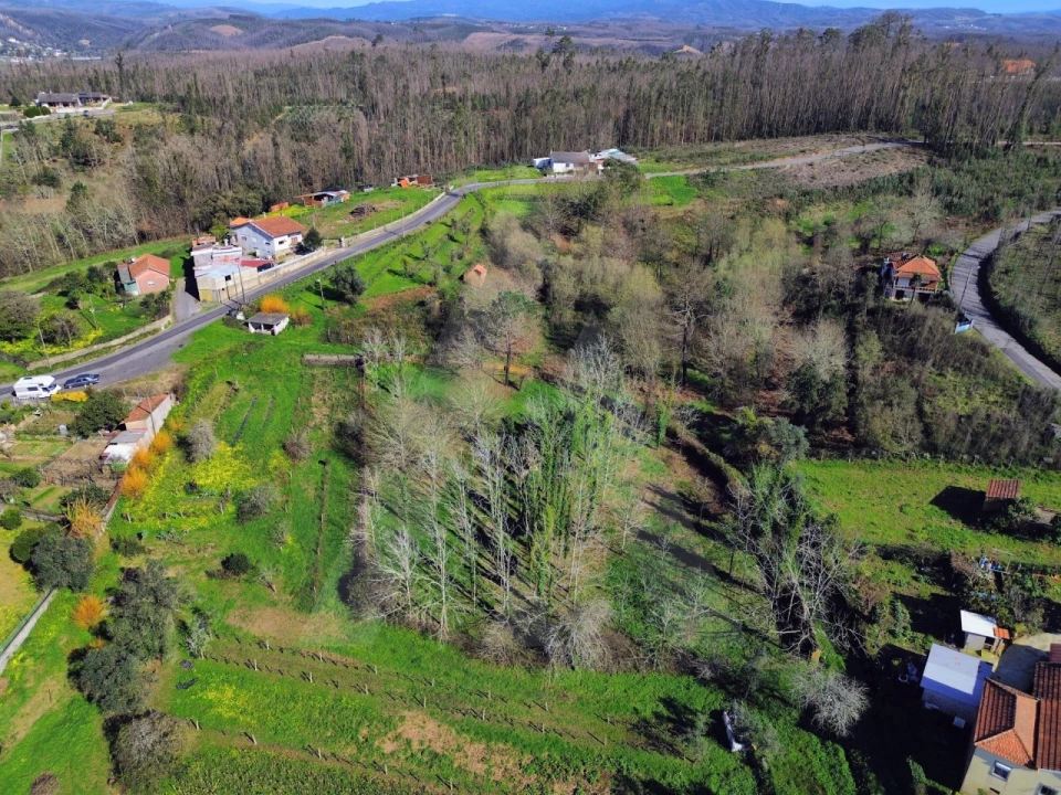 Terreno para Venda em Macinhata do Vouga Foto 12
