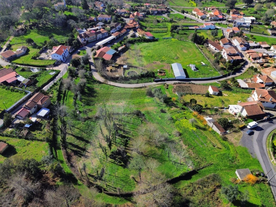 Terreno para Venda em Macinhata do Vouga Foto 13