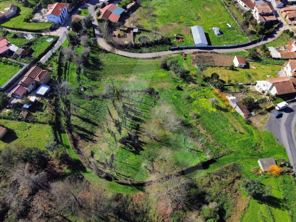 Terreno para Venda em Macinhata do Vouga Foto 14
