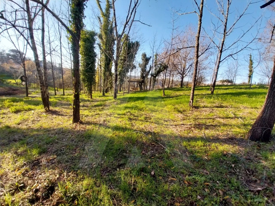 Terreno para Venda em Macinhata do Vouga Foto 15