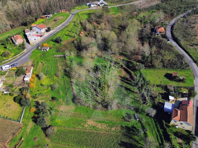 Terreno para Venda em Macinhata do Vouga Foto 1