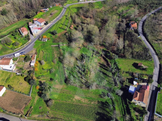 Terreno para Venda em Macinhata do Vouga Foto 4