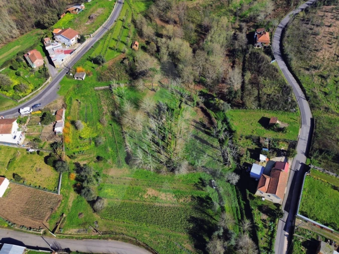 Terreno para Venda em Macinhata do Vouga Foto 7