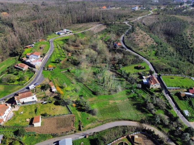 Terreno para Venda em Macinhata do Vouga Foto 9
