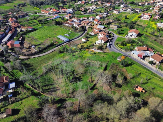 Terreno para Venda em Macinhata do Vouga Foto 11