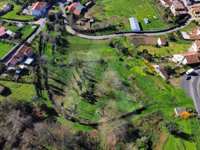 Terreno para Venda em Macinhata do Vouga Foto 14