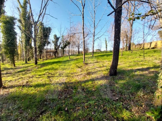Terreno para Venda em Macinhata do Vouga Foto 16