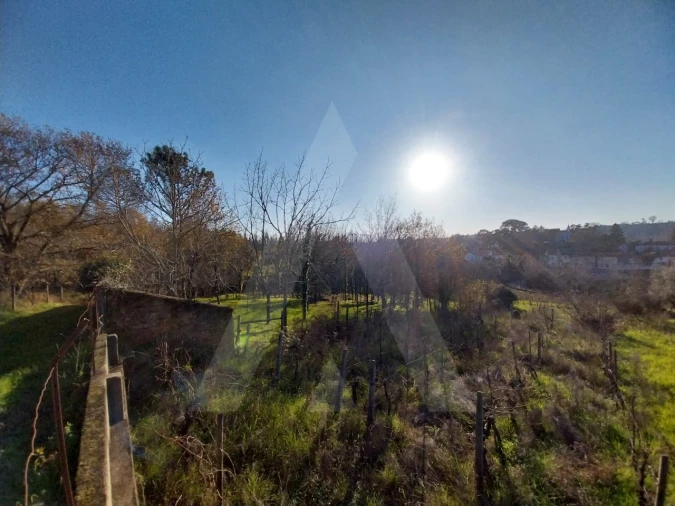 Terreno para Venda em Macinhata do Vouga Foto 17