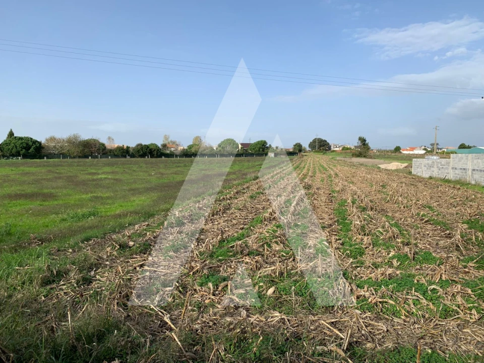 Terreno para Venda em Santa Joana Foto 1