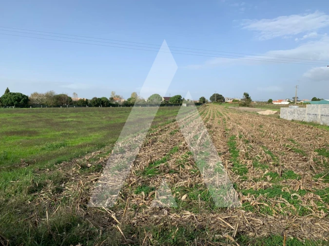 Terreno para Venda em Santa Joana Foto 1