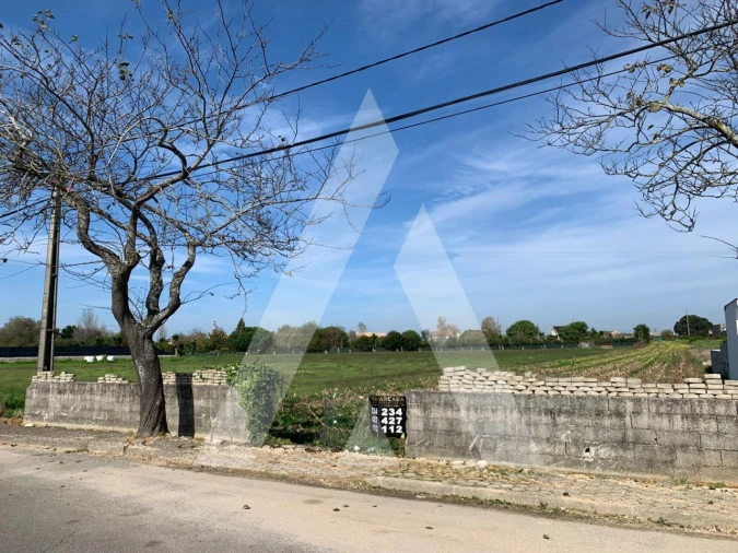 Terreno para Venda em Santa Joana Foto 4