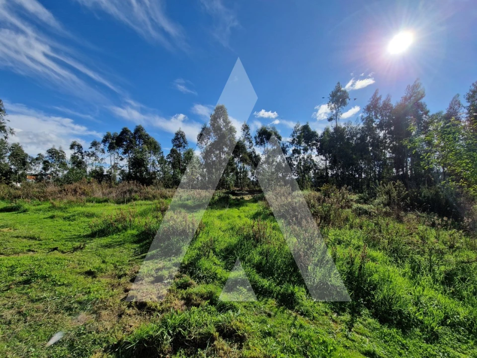 Terreno para Venda em Oliveirinha Foto 5