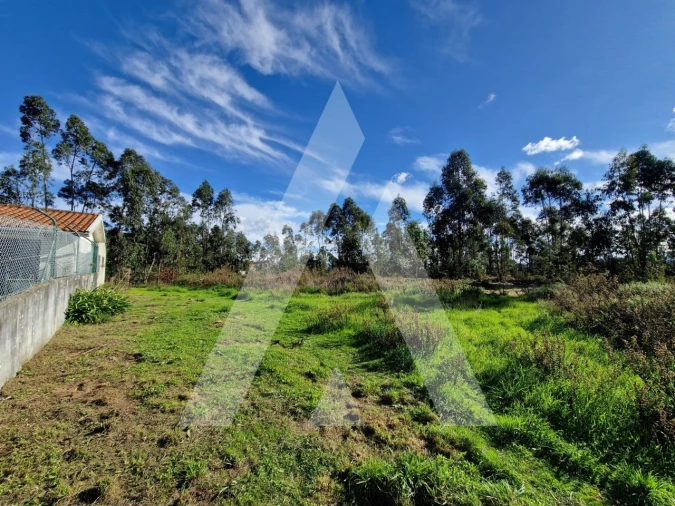 Terreno para Venda em Oliveirinha Foto 2