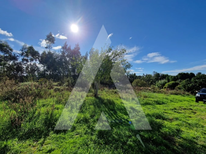 Terreno para Venda em Oliveirinha Foto 4