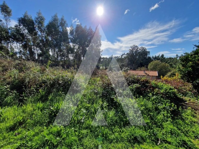 Terreno para Venda em Oliveirinha Foto 6