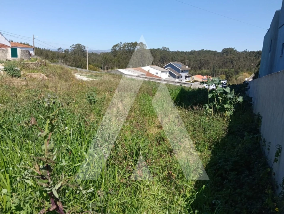 Terreno para Venda em Oliveirinha Foto 7