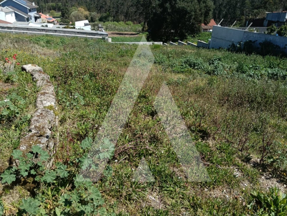 Terreno para Venda em Oliveirinha Foto 8