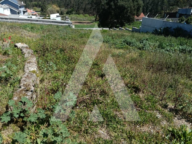 Terreno para Venda em Oliveirinha Foto 8