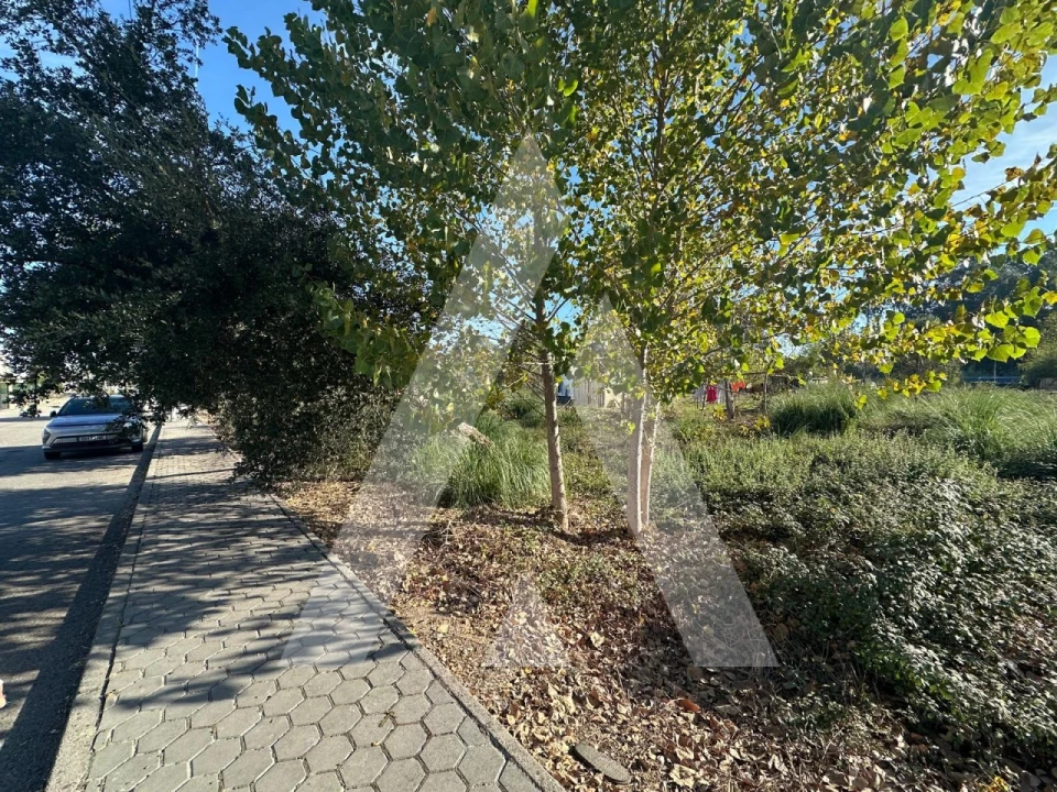 Terreno para Venda em Oliveira do Bairro Foto 3