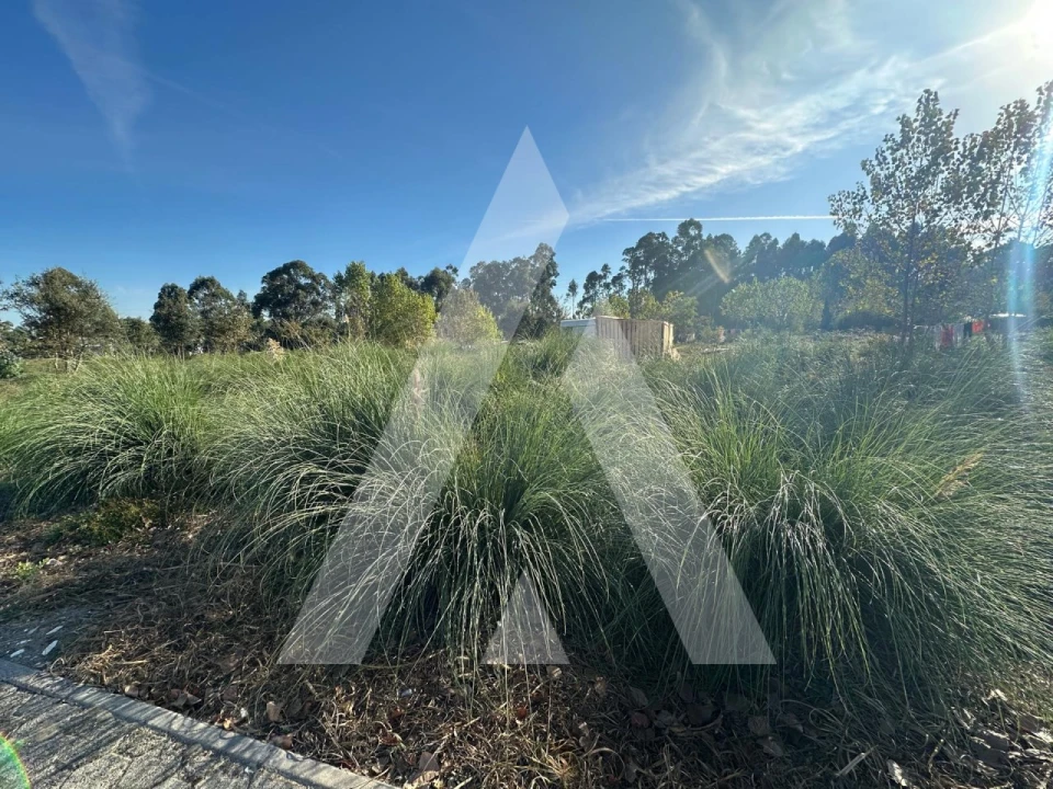 Terreno para Venda em Oliveira do Bairro Foto 4