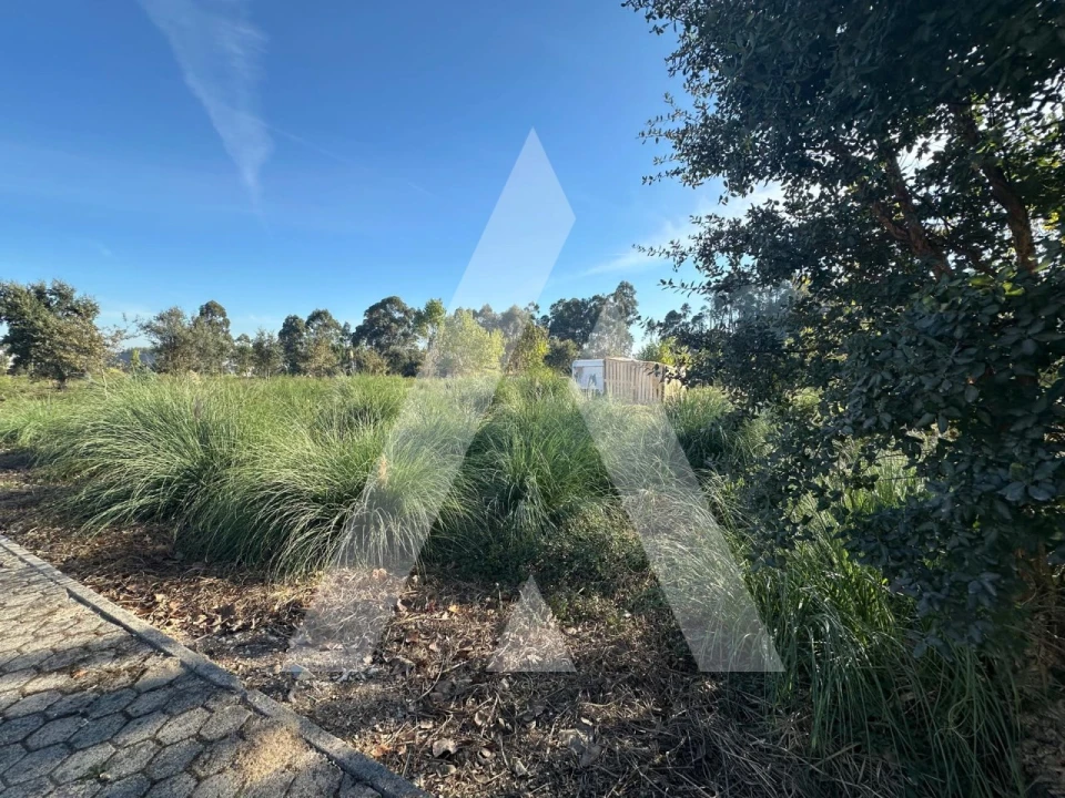 Terreno para Venda em Oliveira do Bairro Foto 5