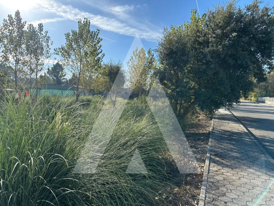 Terreno para Venda em Oliveira do Bairro Foto 7