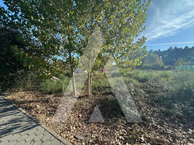 Terreno para Venda em Oliveira do Bairro