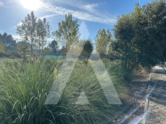 Terreno para Venda em Oliveira do Bairro Foto 8