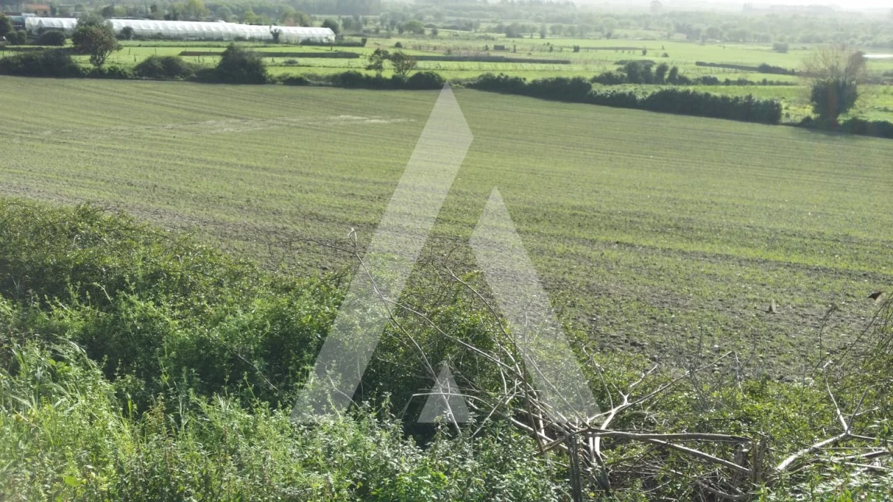 Terreno para Venda em Canelas e Fermelã Foto 3