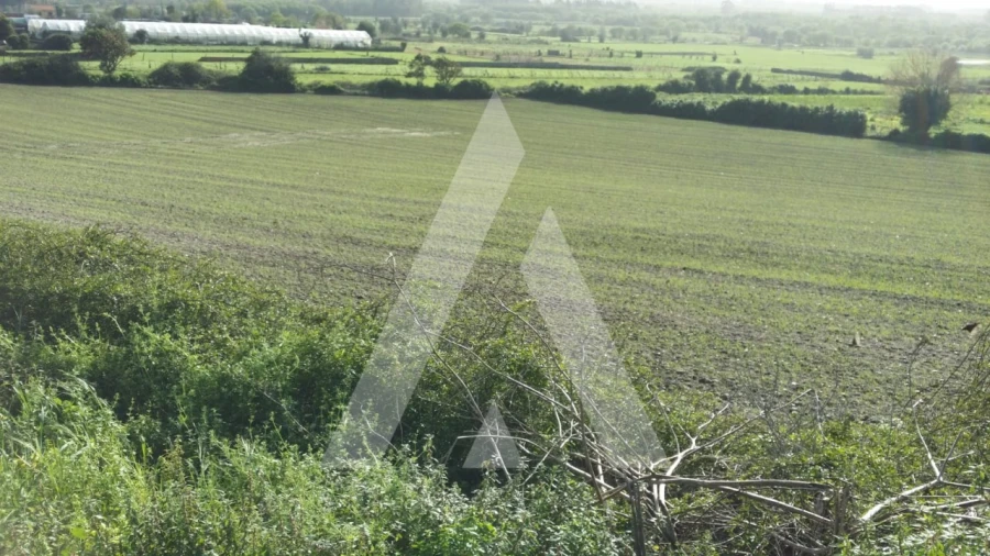 Terreno para Venda em Canelas e Fermelã Foto 3