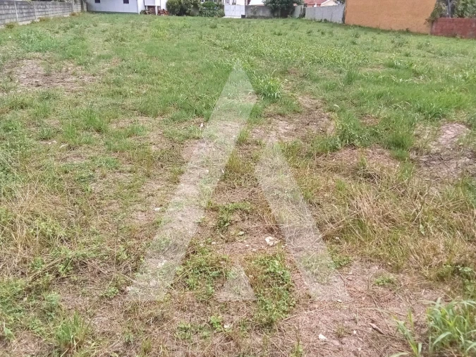 Terreno para Venda em Cacia Foto 4