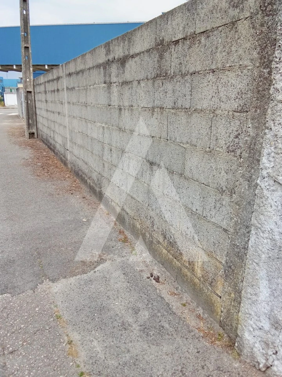 Terreno para Venda em Cacia Foto 5