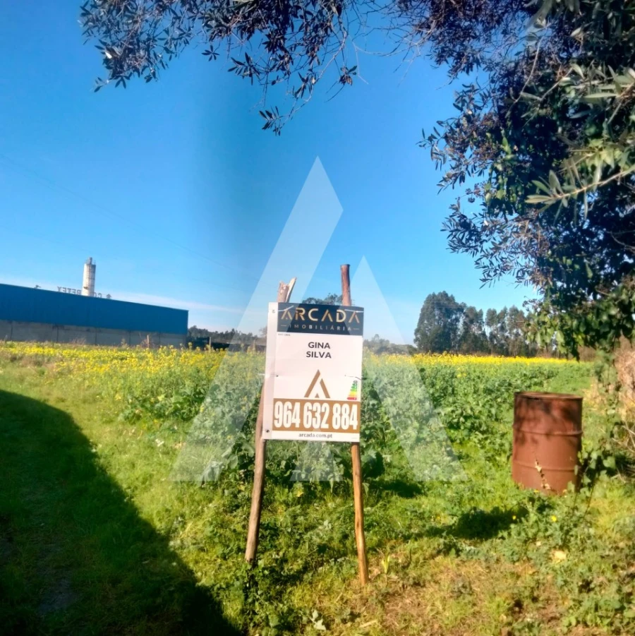 Terreno para Venda em Eixo e Eirol