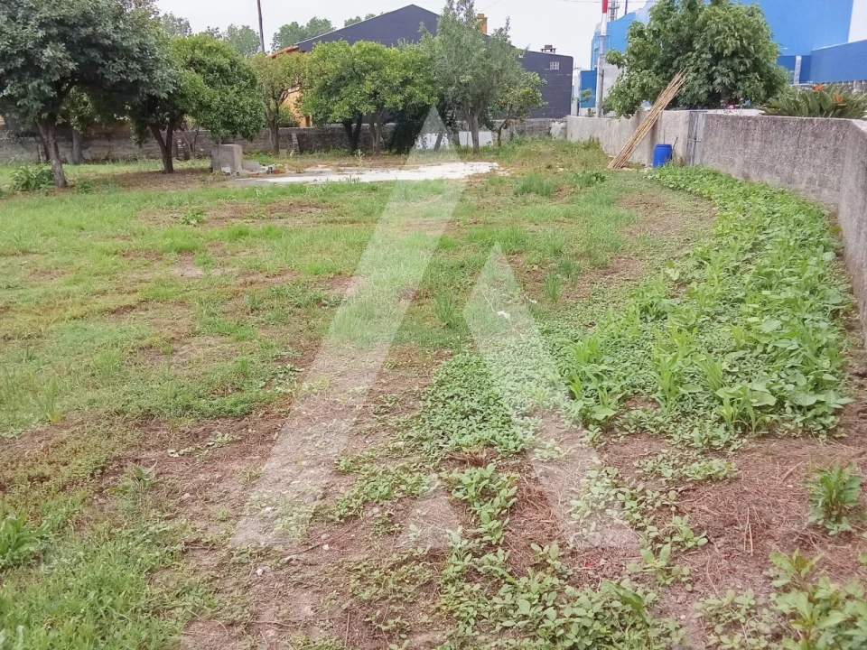 Terreno para Venda em Cacia Foto 4